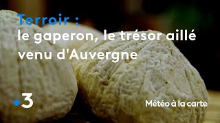 Le gaperon, le délicieux trésor aillé venu d'Auvergne - Météo à la carte