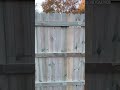 (608) 560-5605 #fall #backyardfence #construction #homeimprovement #pumpkin #pumpkinspiceseason