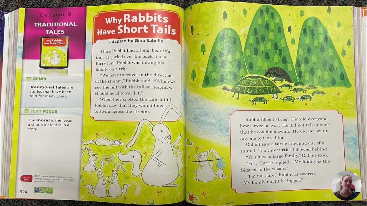 Why Rabbits Have Short Tails YouTube