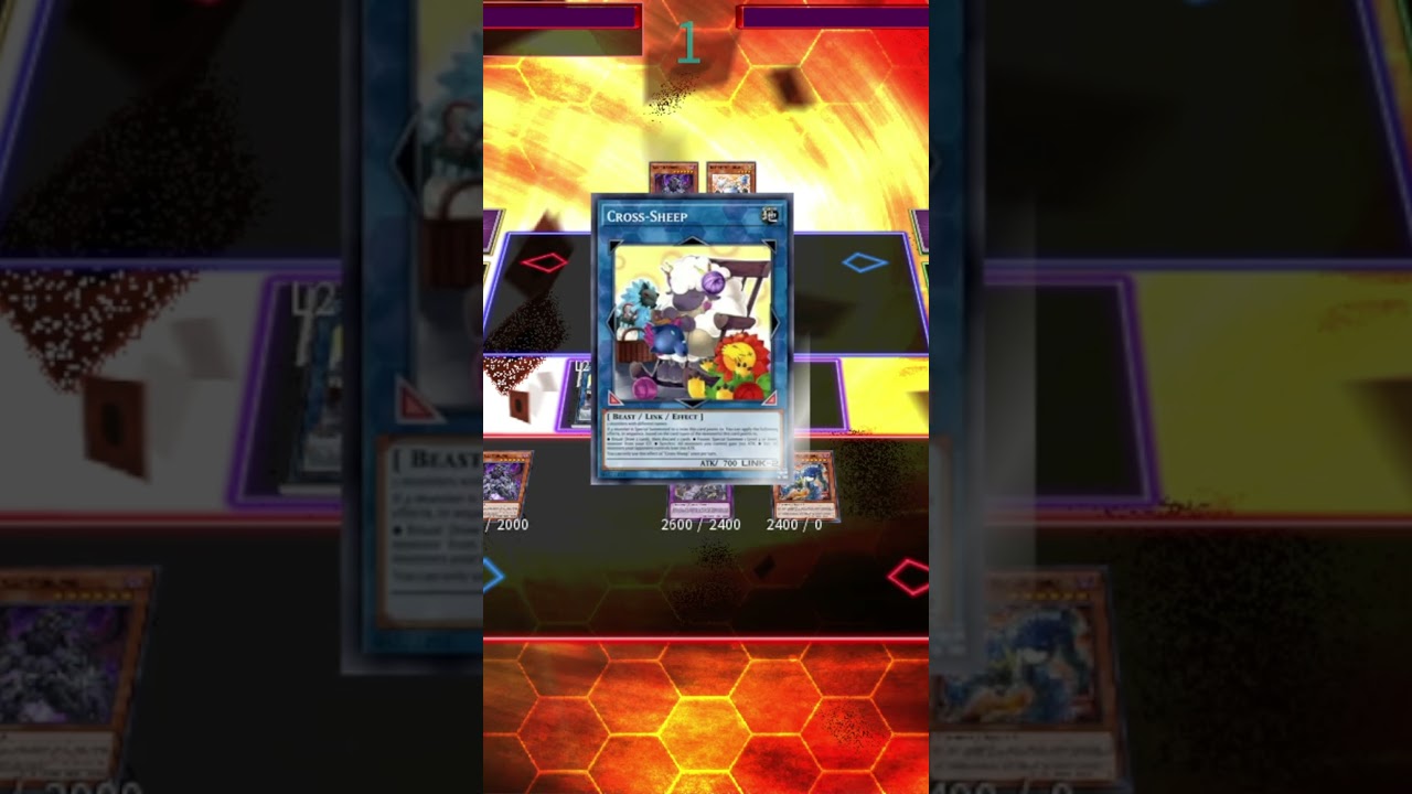 Thunder Dragon COMBO 2025