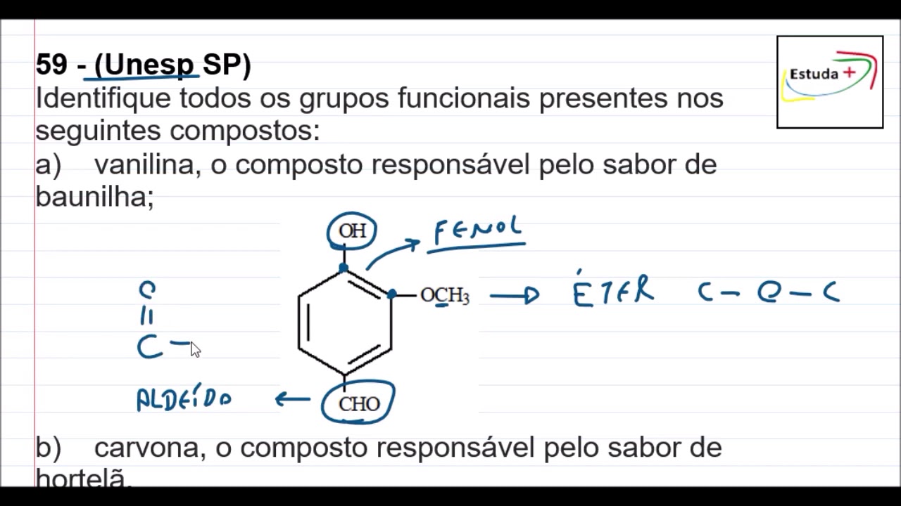 Qual Dos Seguintes Grupos Inclui Organismos Mais Relacionados Entre Si