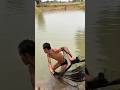 เซียนหลอด ปลาค้อใหญ่ หว่านแห big snakehead fish #fishing
