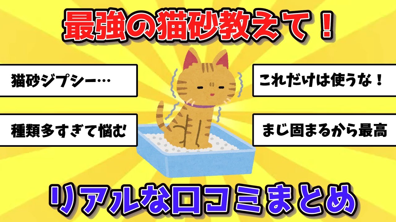 【有益】どの猫砂が最強？レビュー徹底比較【Amazonプライム感謝祭】