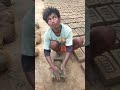 south video viral#funny video#post #funny #