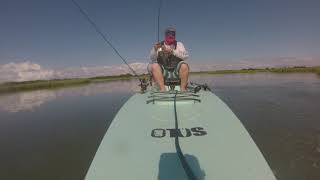Gopro