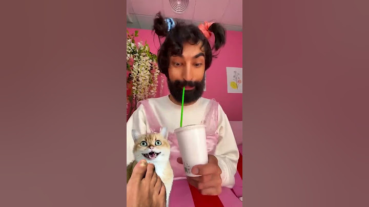 Drop-Proof Lollipops: The Gadget You Didn't Know You Needed! #reaction #cat #gadget #lollipop