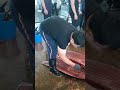 Amazing Bluefin Tuna Bone Cutting