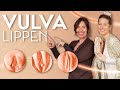 Ist Meine Vulva Schön Die Vielfalt Der Vulva