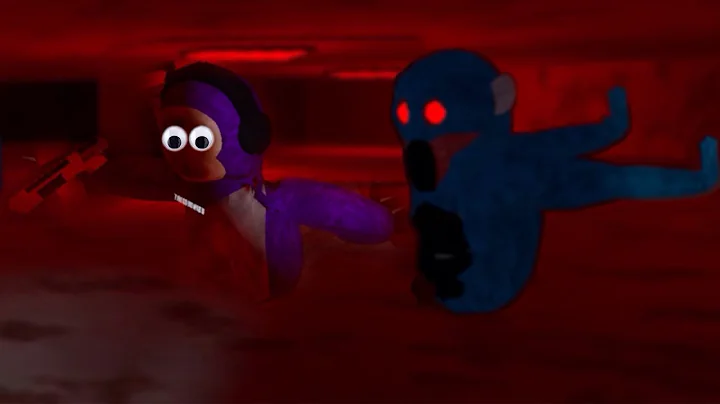 CAPUCHIN IN A NUTCHELL