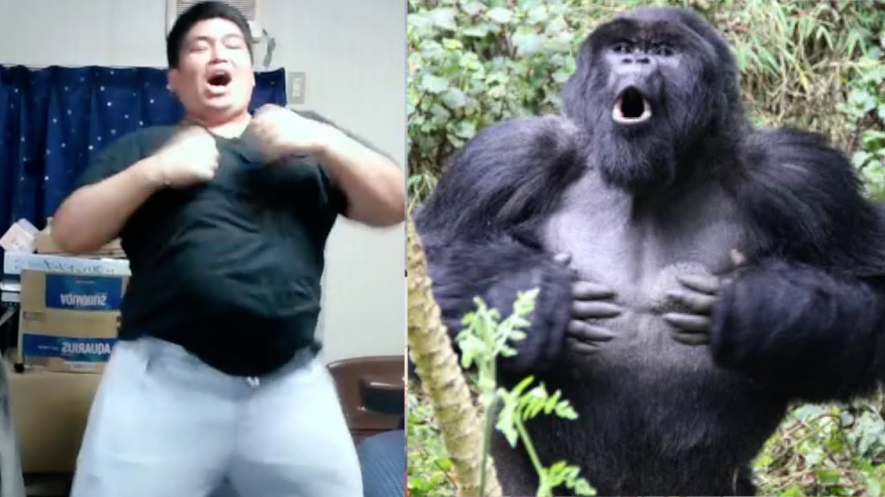 【#10】初音ミクの消失、まじできつすぎてゴリラになった【フィットボクシング初音ミク ダイエット配信切り抜き】