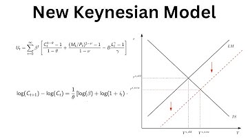 The New-Keynesian Model Part 1: Microfounded Dynamic IS-LM Model