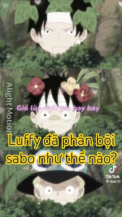 lù đã từng phản bội sabo☺💔#onepiece #chongem#zylanforduongdomic#botam#xhh| cre???