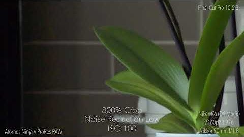 Z6 ProRes RAW _ Noise Reduction
