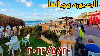 شواطئ المعموره  وسعر التذاكر لدخول الشواطئ أسكندريه صيف 2023