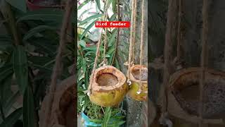 DIY Bird Feeder & Water Station | Bird Feeder and Water Station for Summer | How to Make Bird Feeder
