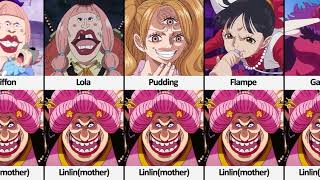 Parents of One Piece Characters