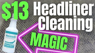 The Ultimate Headliner Cleaning Product | Remove 100% of stains FAST! screenshot 2