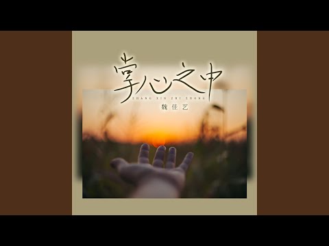 掌心之中 (DJ沈念舞动版)