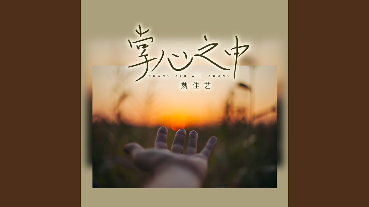 掌心之中 (DJ沈念舞动版)