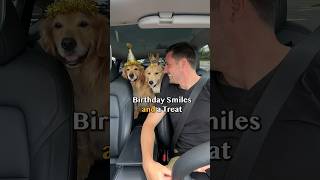 The best way to celebrate your dog's birthday!