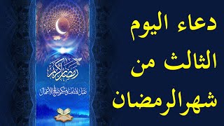 فلوق ليوم Hd Videos