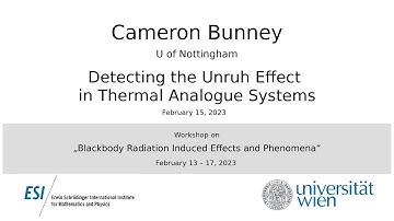 Cameron Bunney - Detecting the Unruh Effect in Thermal Analogue Systems