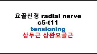 요골신경 가동술 radial nerve tension c5-t11 삼두근 상완요골근