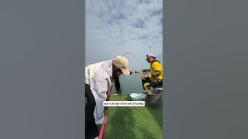 Em cần thủ đi câu cá mũ gặp anh móm thủ và cái kết #fishing #cauca #short