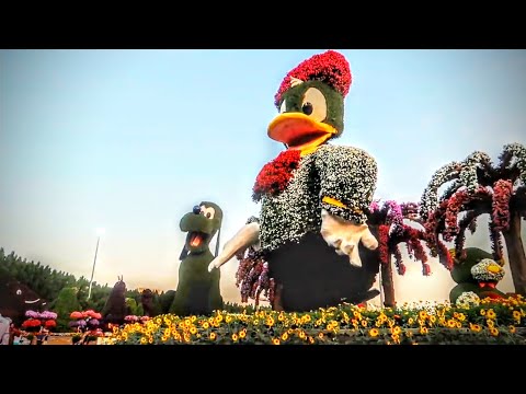 Dubai Miracle Garden 2020 (Day Tour)