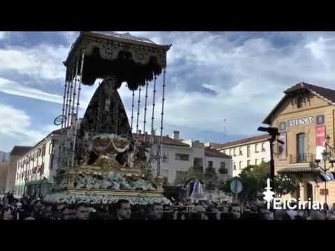 Pontificia y Real Congregación del Santísimo Cristo de la Buena Muerte y Ánimas y Nuestra Señora de la Soledad Coronada (Mena)