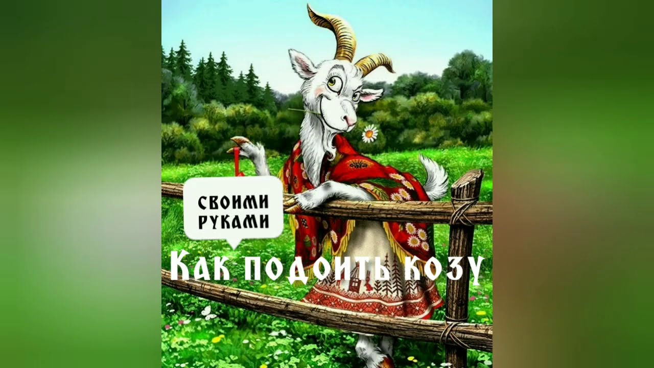 КАК ПОДОИТЬ КОЗУ# HOW TO MILK A GOAT