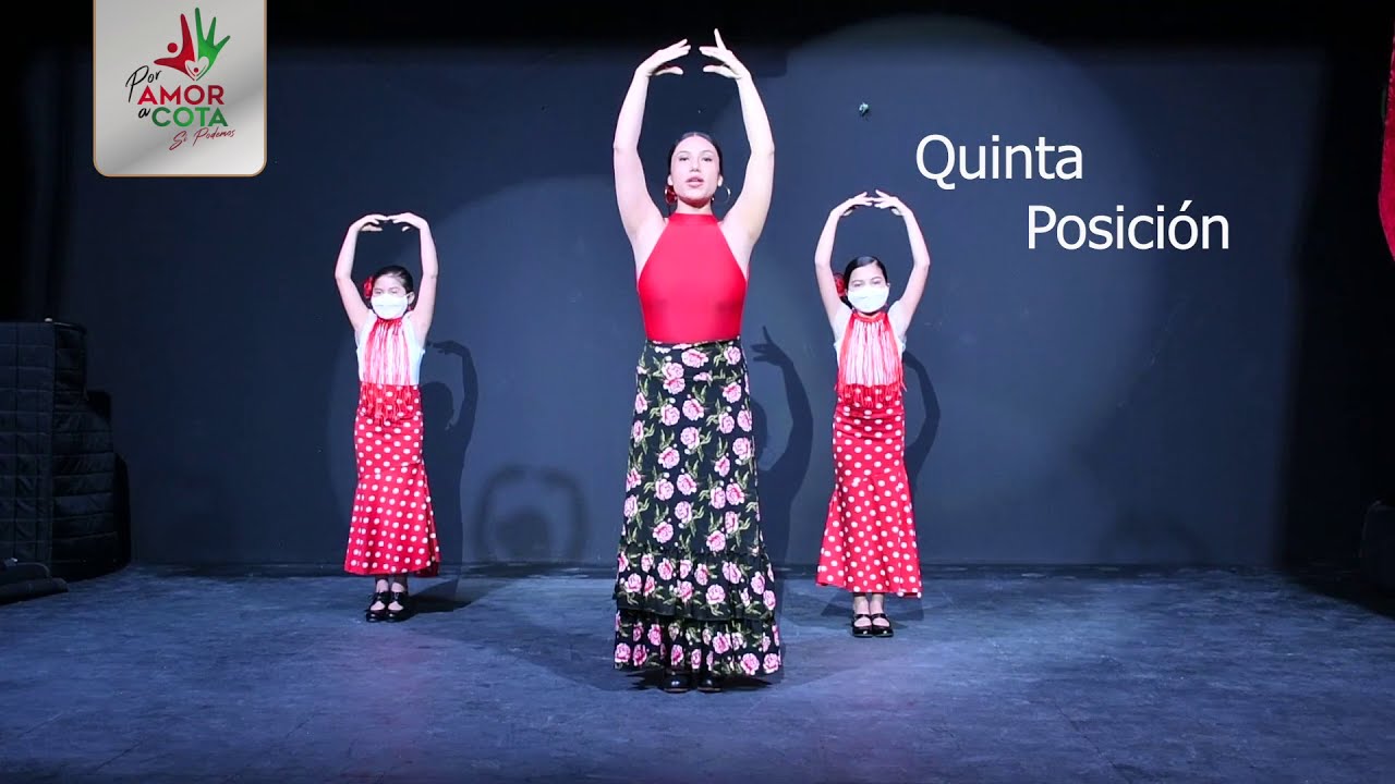 Técnica de Brazos - Flamenco