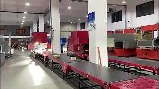 Intelligent Parcel DWS & Sorting System