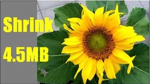 Compress your Pictures / Images up to 95% with one click