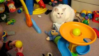 Video - Ball Popper.avi