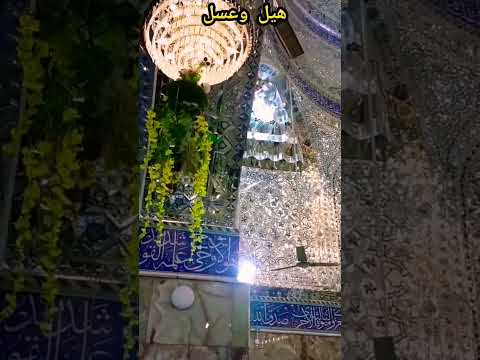 معلومات مهمة عن أم الأمام علي ع