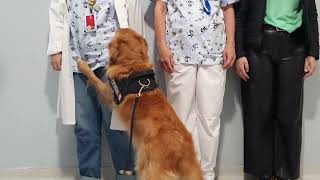 Visita de la unidad canina a los pacientes del HUN