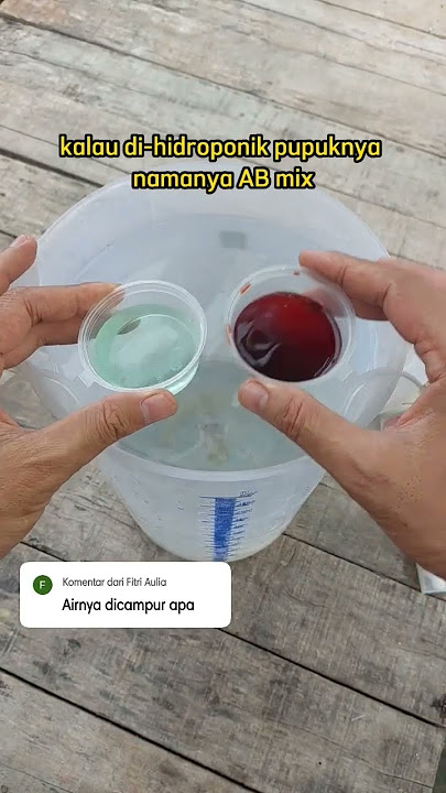 AB MIX, pupuk untuk nutrisi dalam sistem hidroponik #nutrisihidroponik