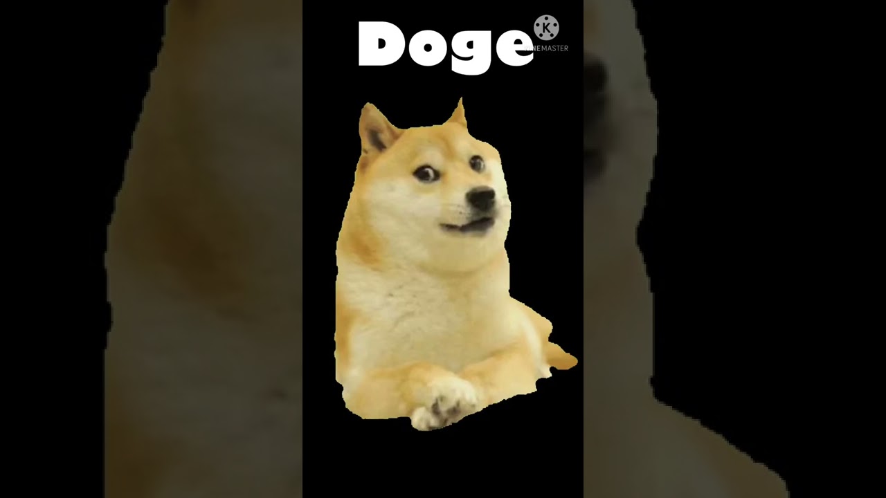 Doge wow 7    
