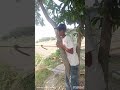 wait end #viralvideo #shortvibeo