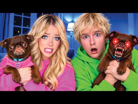 MY PUPPY HAD A EVIL TWIN AT 3AM...