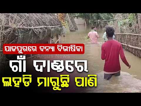 Brahmani & Baitarani Rivers Above Danger Level; Jajpur Villages Face Flood Fury | Argus News