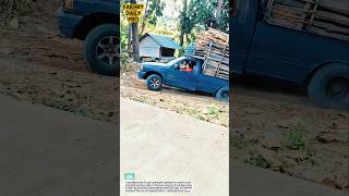 Overloaded Truck Fails to Climb! Dramatic Muddy Hill Slip #work #automobile #truck #farming
