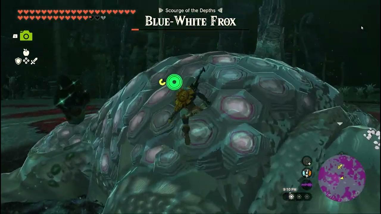 Blue white Frox Under Tabantha. Sprinkler System Yiga Schematic. Tears