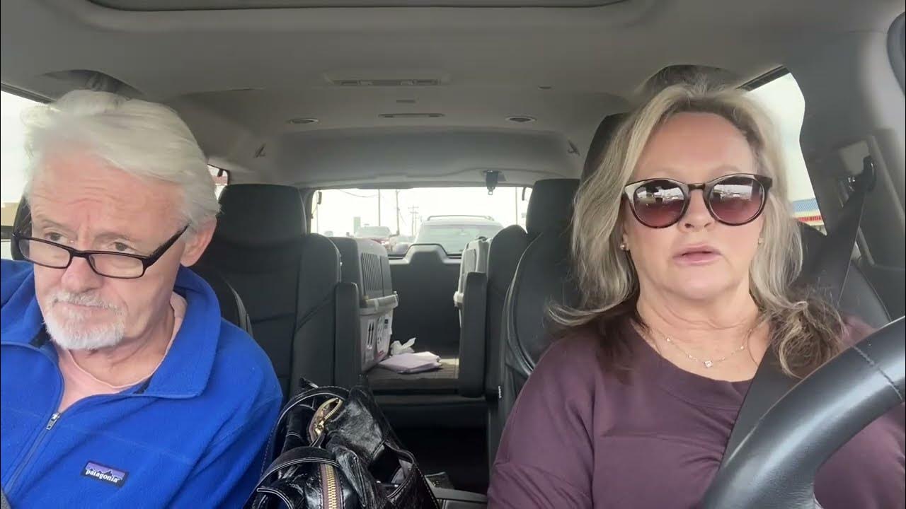 All About Dog Breeding 3 12 23 YouTube all-about-dog-breeding-3-12-23-youtube