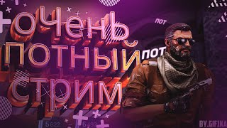 CS2 LIVE 🔴 ИГРАЕМ ПАТИ С ПАЦАМИ В ПРEМЬЕР И ММ, 7к элла