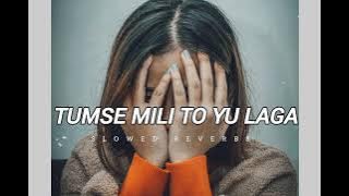 Tumse mili to yu laga|(slowed reberb)lofi|song