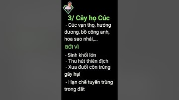 Bạn Có Biết: Cỏ Dại Nào Nên Giữ Lại Trong Vườn Khi Canh Tác Cây Trồng? Xem Ngay! #Shorts