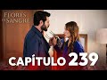 Flores De Sangre Capítulo 239 Kan Cicekleri Subtítulos En Español Subtítulos En Español 