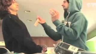 A Day Home With Lizard King